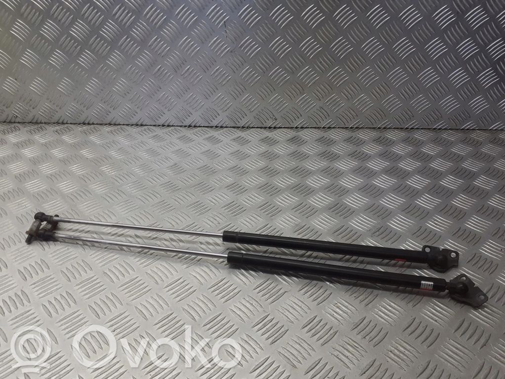 Tailgate hydraulic set