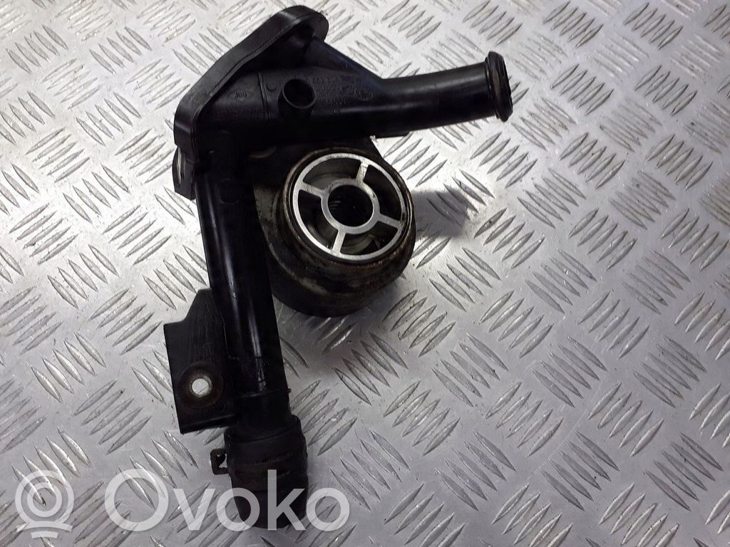 Radiator ulei motor   779744