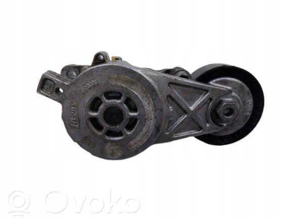Volkswagen Jetta V Rolă întinzător curea alternator 
