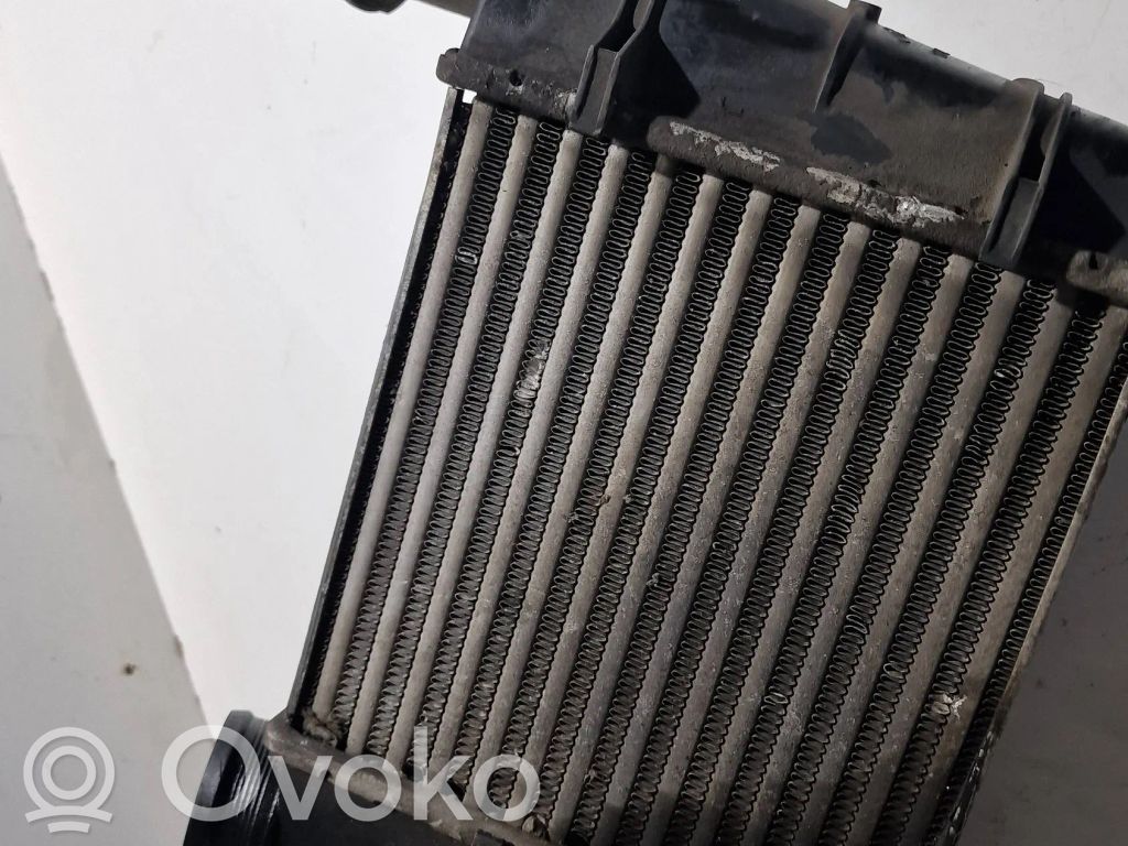 Audi A4 S4 B7 8E 8H Interkūlerio radiatorius 