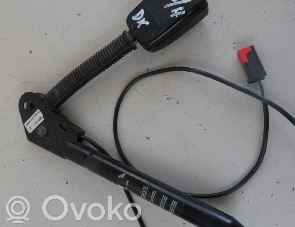 Ford Focus Sagtis diržo priekinė 