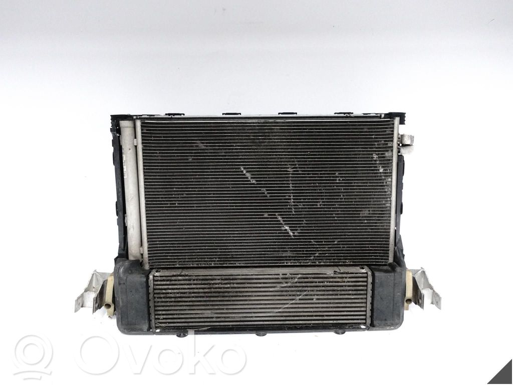BMW 5 G30 G31 G38 Radiator lichid răcire 