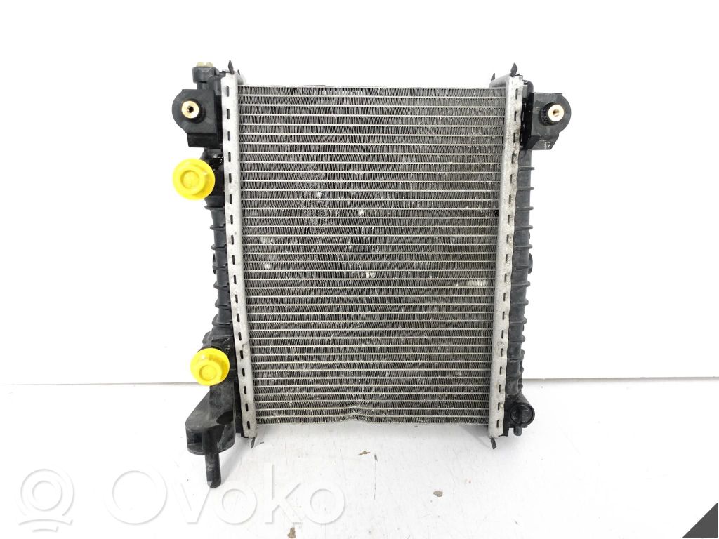 Alfa Romeo Giulia Radiator lichid răcire 
