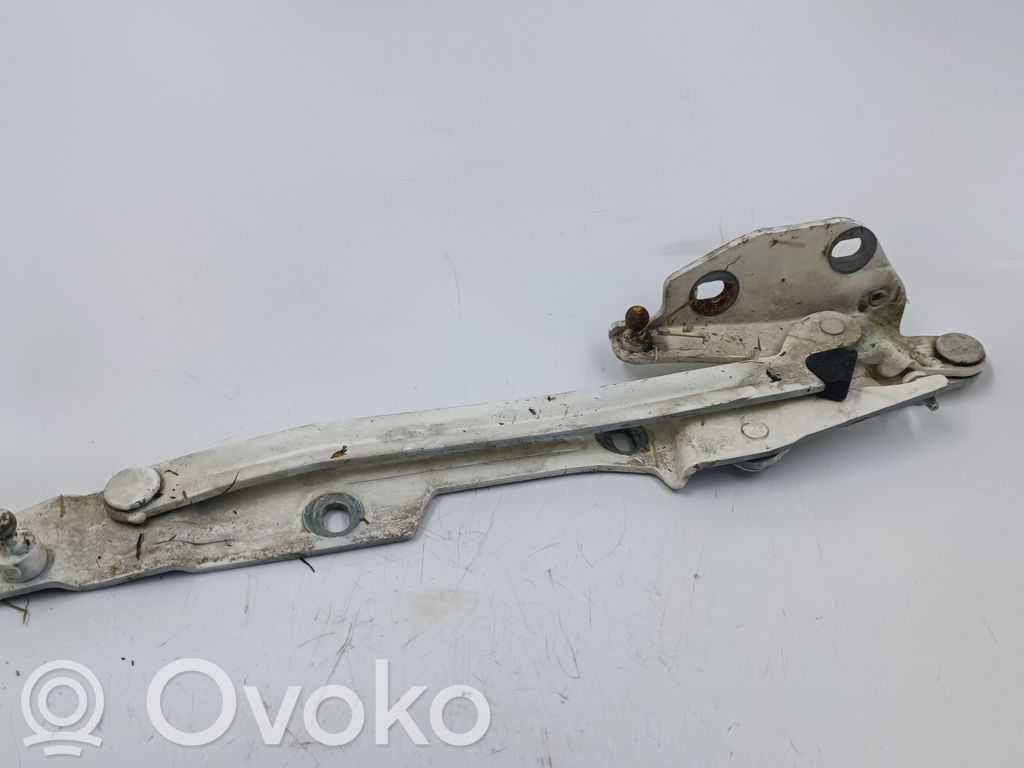 Tailgate/trunk/boot hinge