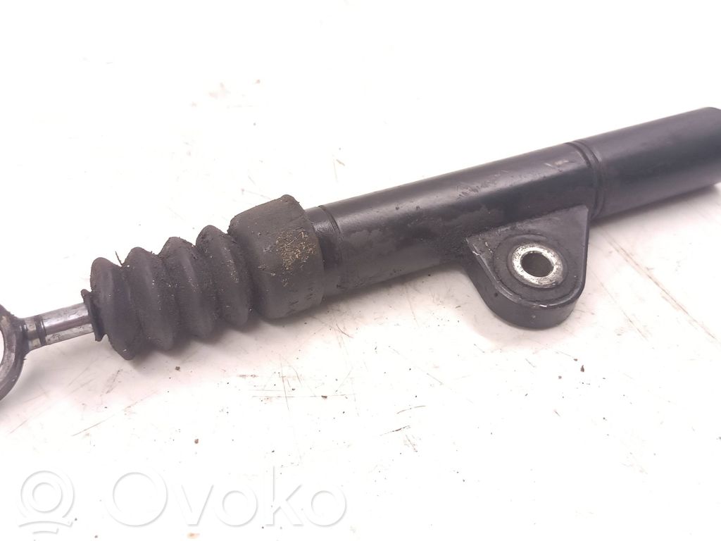 Volkswagen Bora Napinacz paska wielorowkowego / Alternatora 