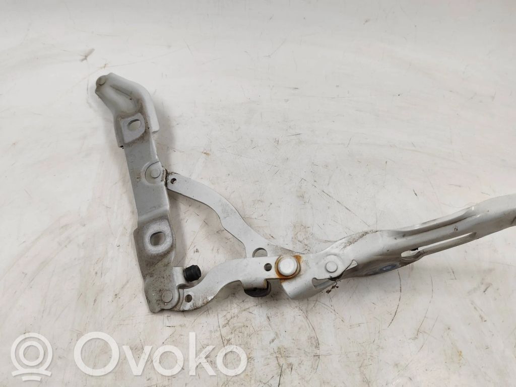 BMW 1 E82 E88 Tailgate/trunk/boot hinge 
