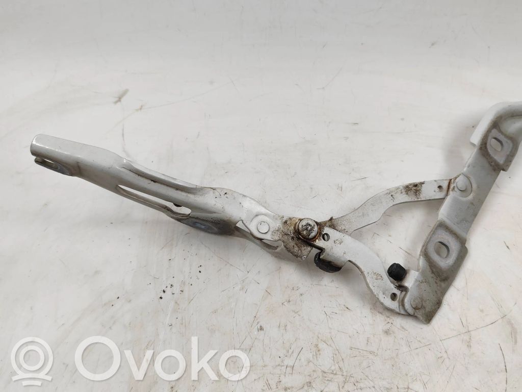BMW 1 E82 E88 Tailgate/trunk/boot hinge 