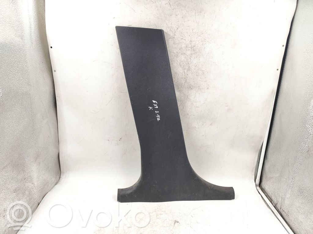 (B) pillar trim (bottom)   E395143,8172421,H0K0