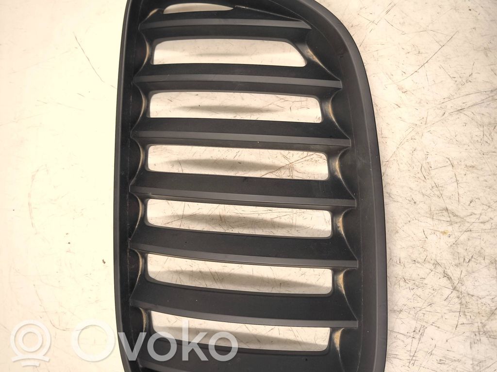 BMW X5 E53 Grotelės priekinės 