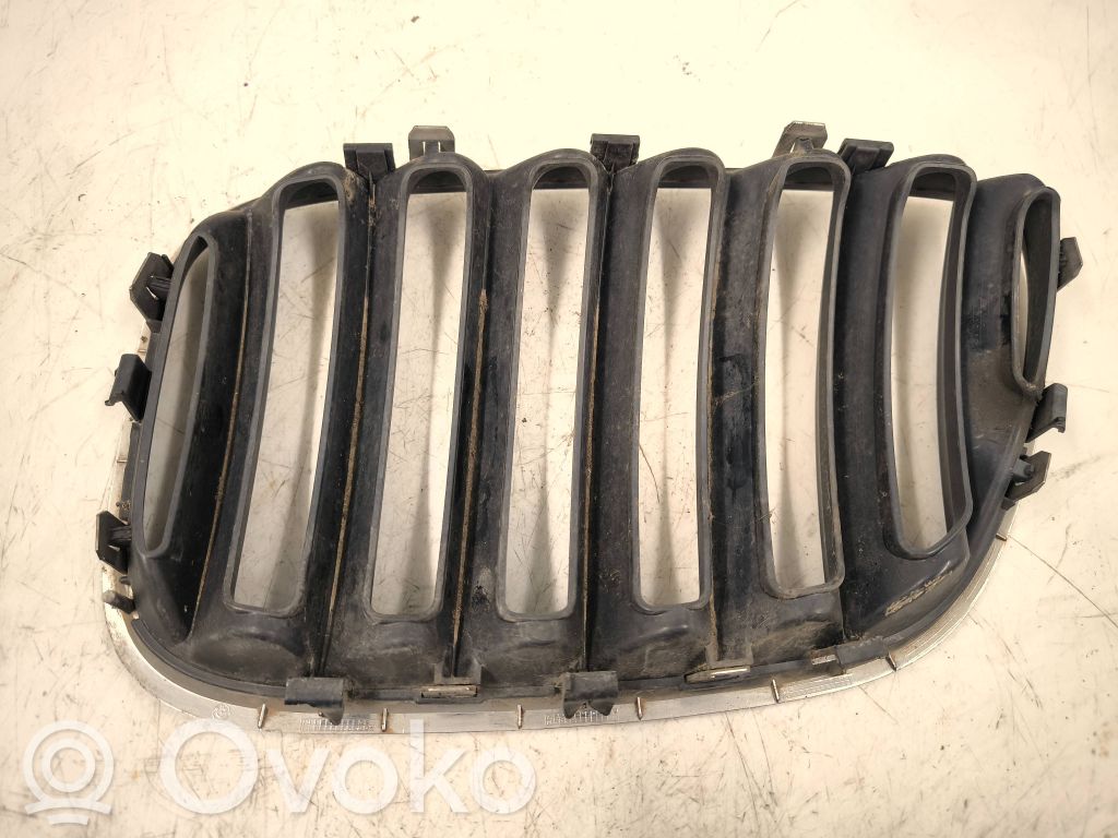 BMW X5 E53 Front grill 