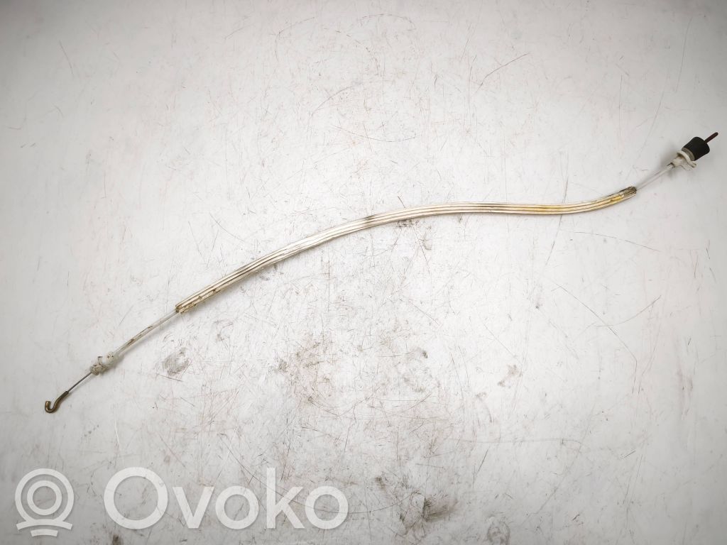Trosīte