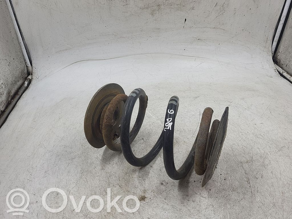 Rear coil spring