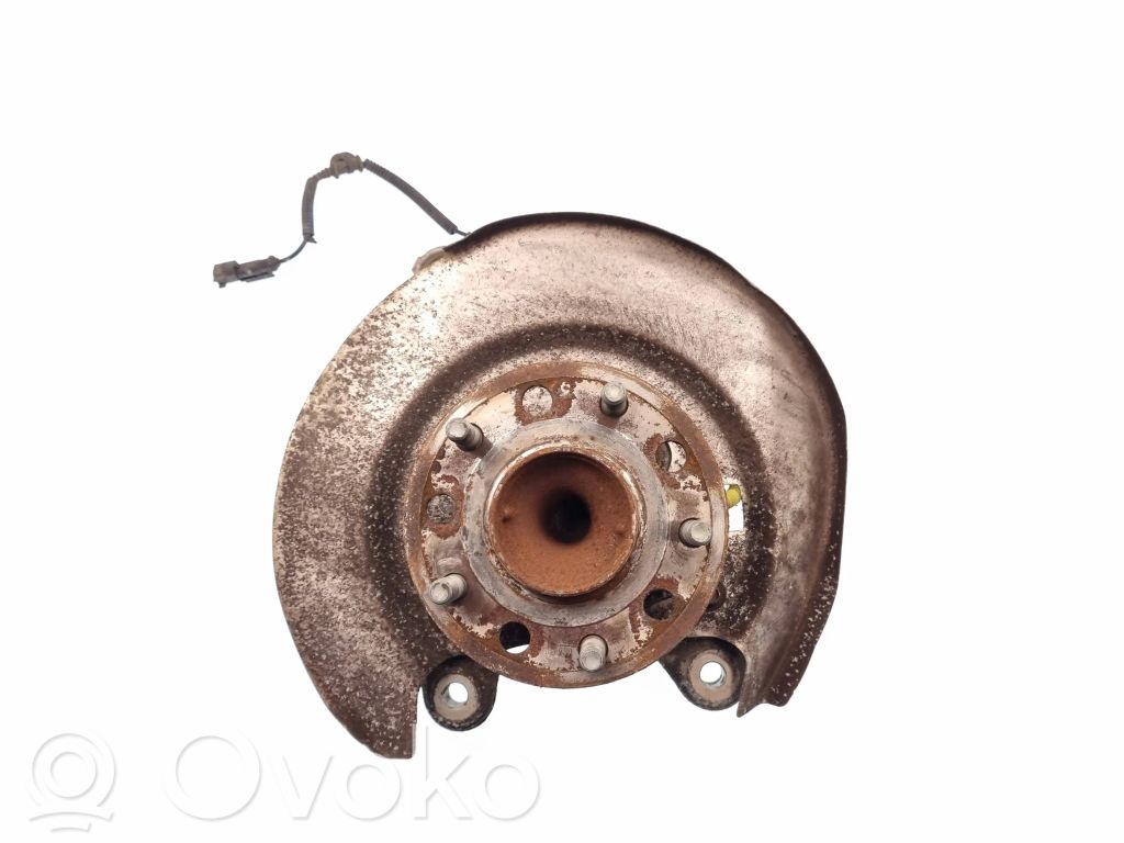 Galinė stebulė   017AB,511ABL,78030