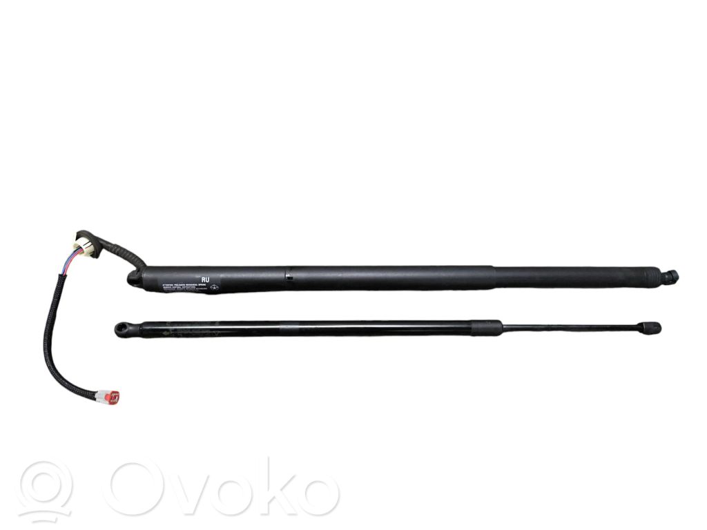 Chrysler Pacifica Tailgate/trunk/boot lift motor 