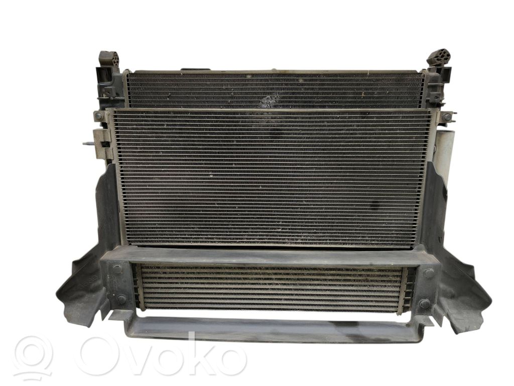 Radiator set   95409466,95026329,42396680