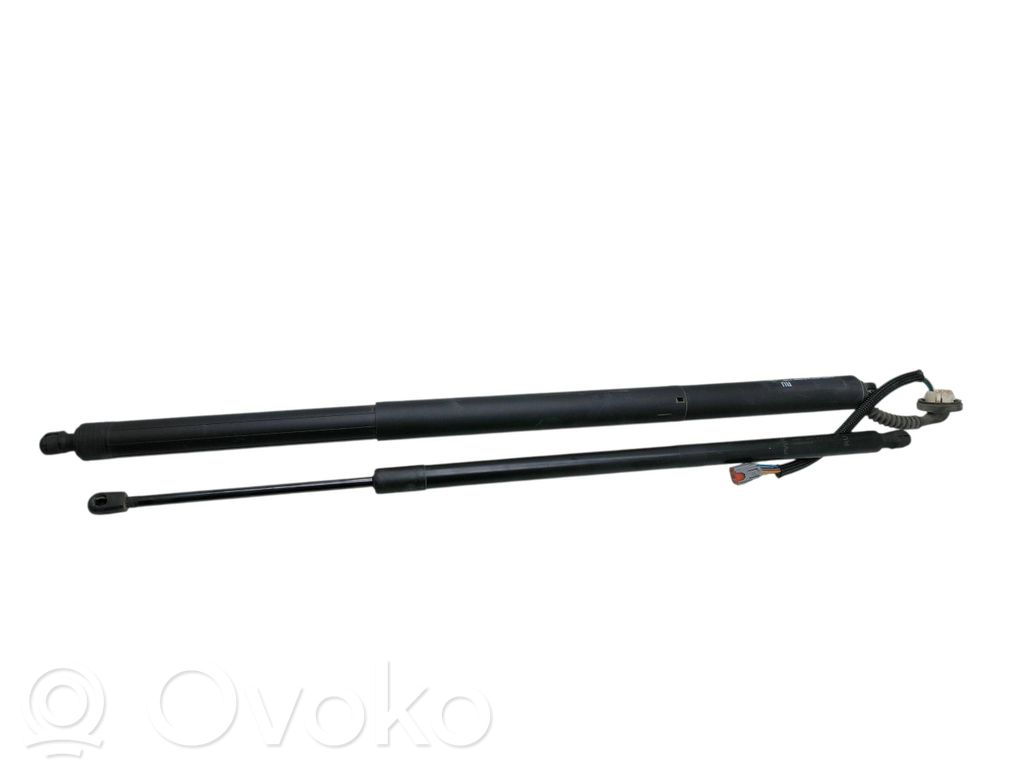 Chrysler Pacifica Tailgate/trunk/boot lift motor 