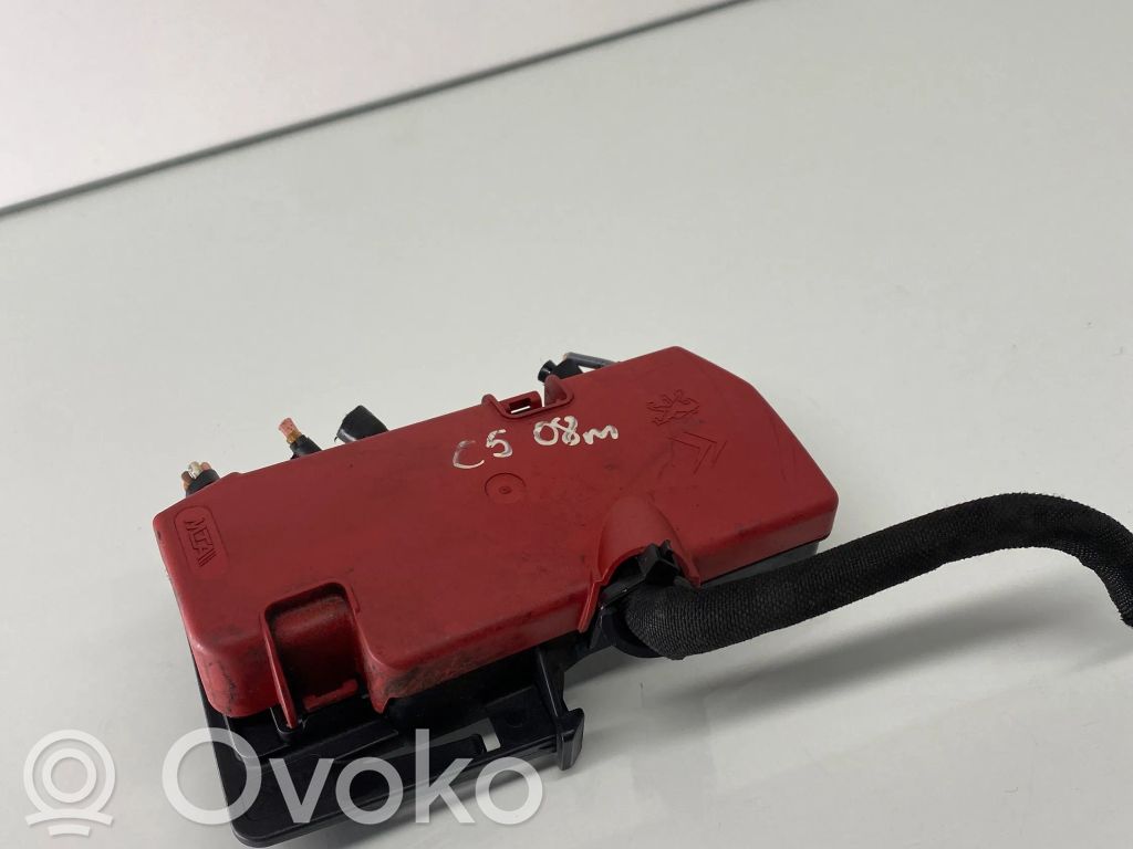 Citroen C5 Positive wiring loom 