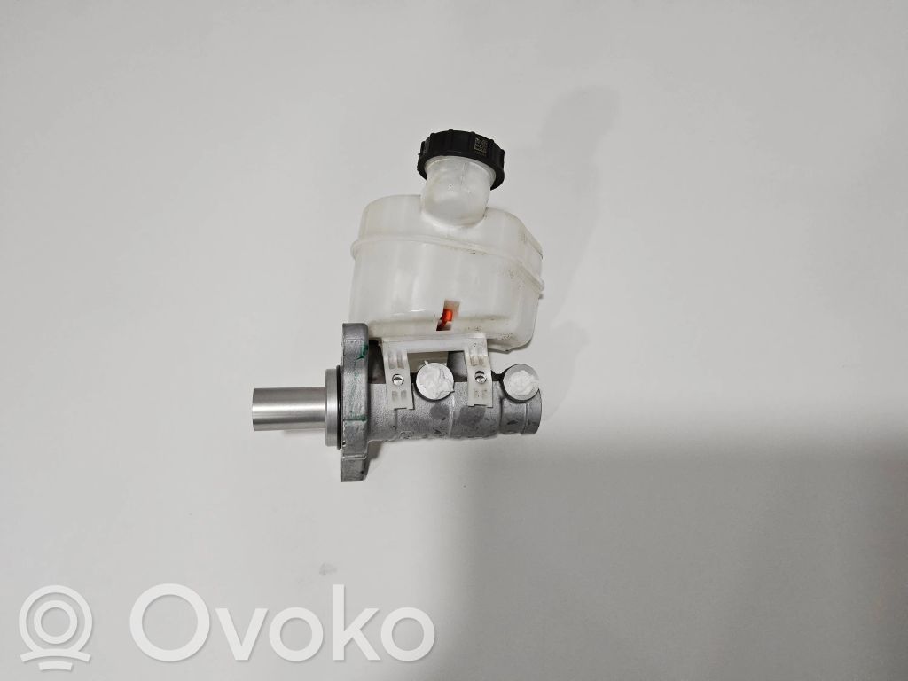 Główny cylinder hamulca   803126,2K478