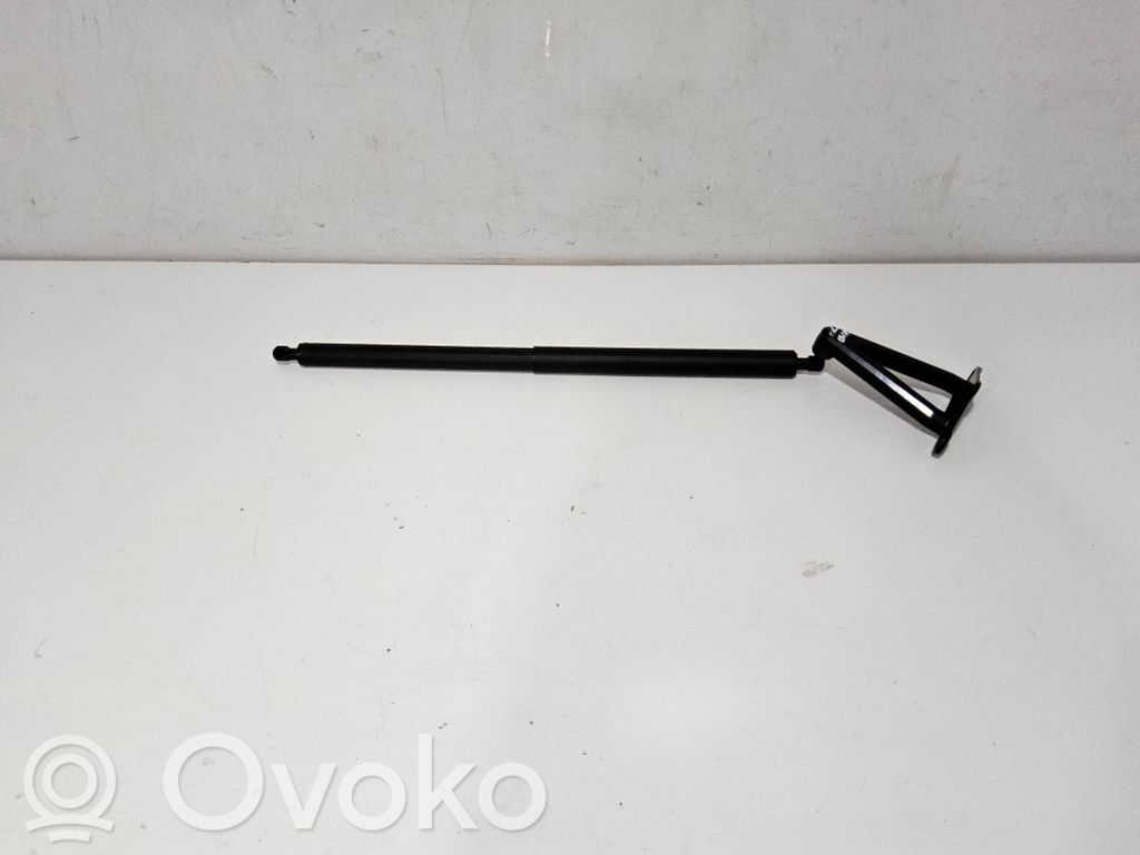 Chevrolet Corvette C8 Tailgate/trunk strut/damper 