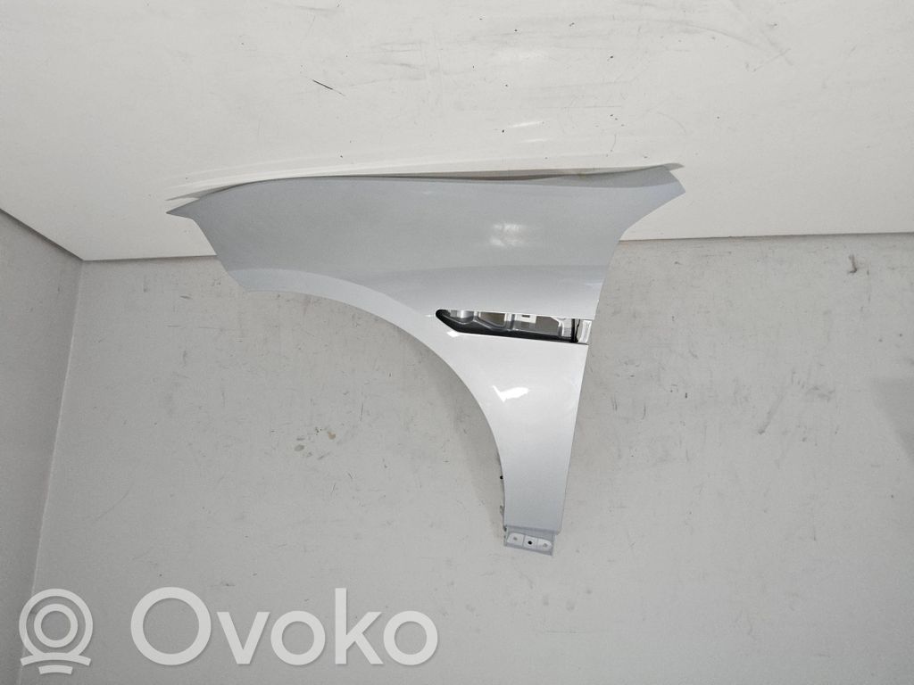 Polestar 4 Guardabarro 