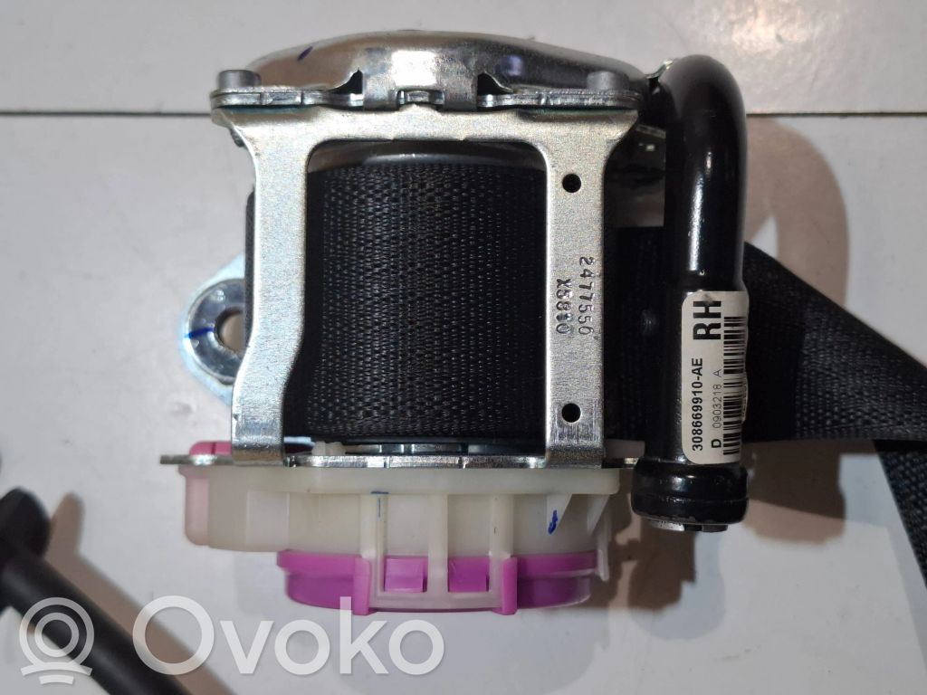 Cinturón delantero   FR3B63612D64