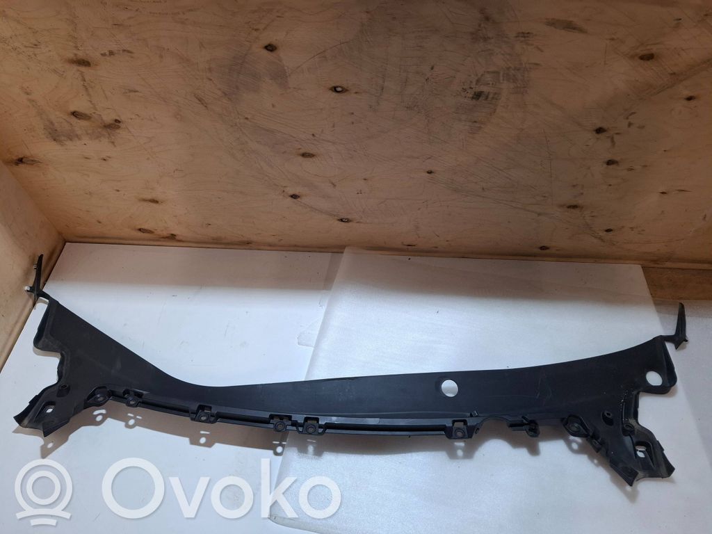 Tesla Model 3 Valytuvų apdaila (-os) 