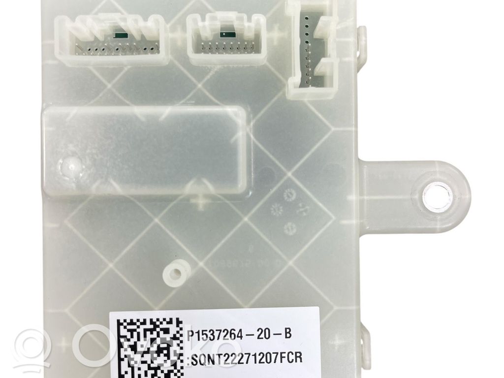 Tesla Model Y Other control units/modules 