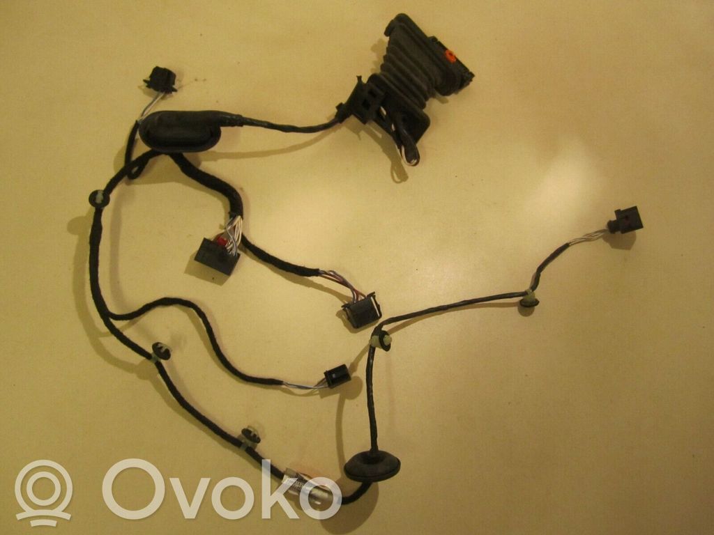 Volkswagen PASSAT B7 Cableado de puerta trasera 