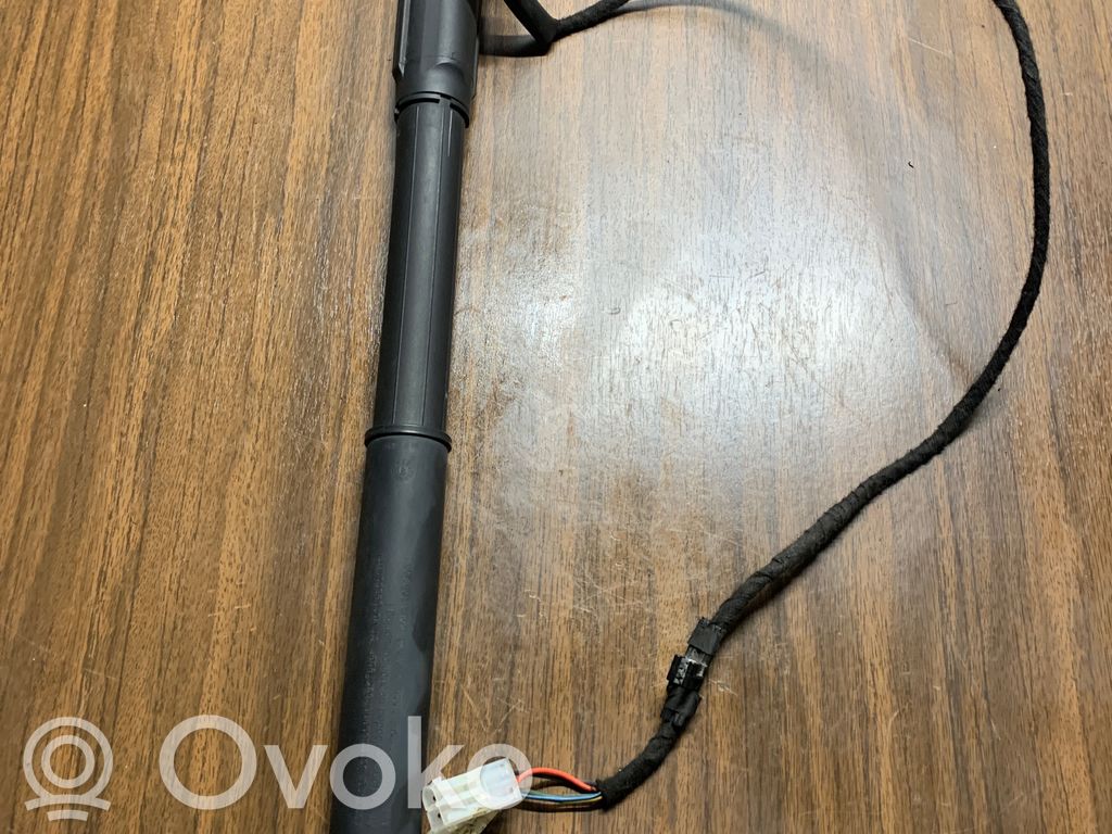 Tailgate/trunk strut/damper   7294588