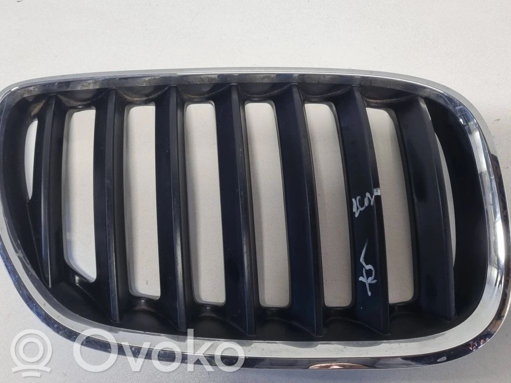 BMW X5 E53 Front bumper upper radiator grill 