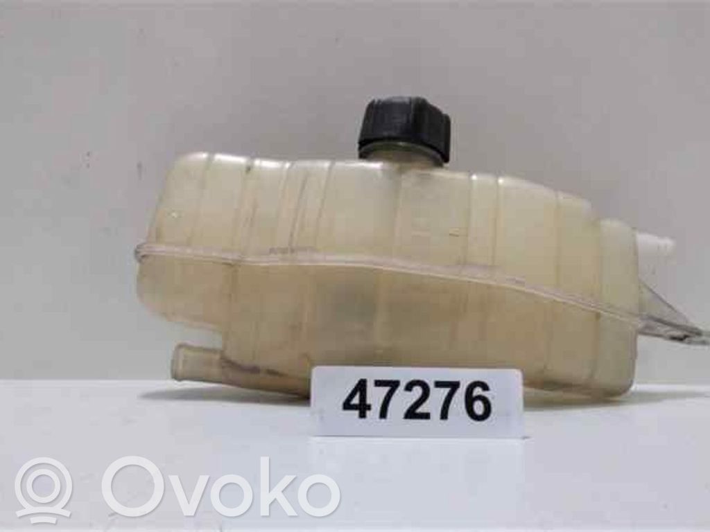 Renault Clio III Fuel expansion tank 