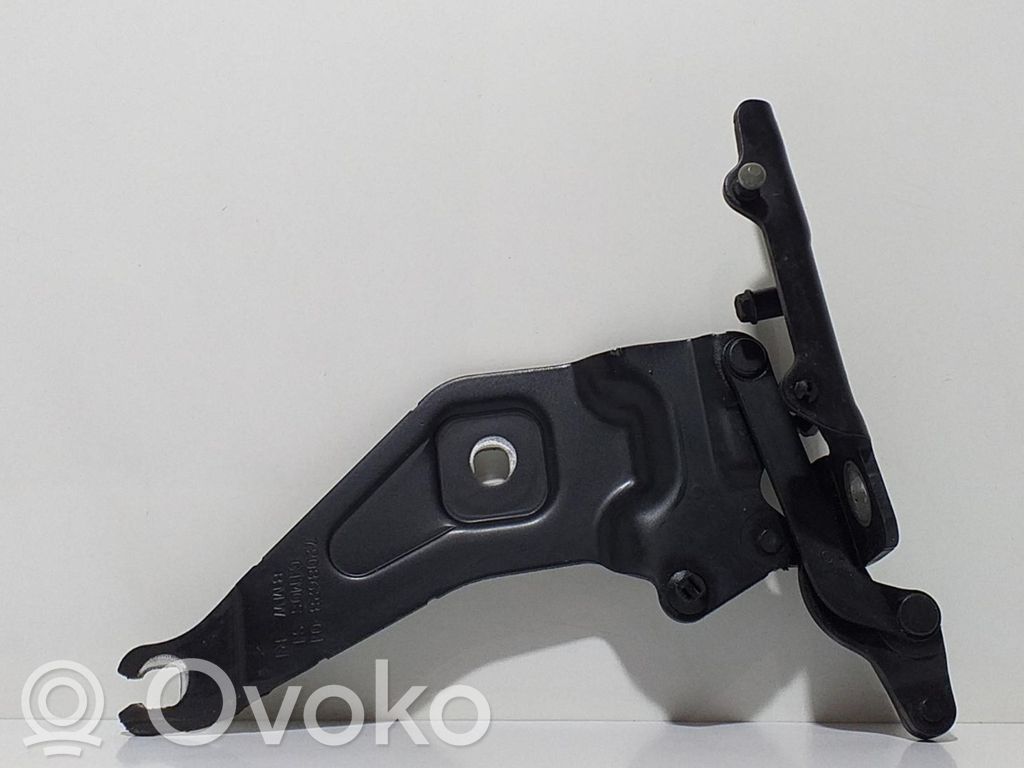 BMW X6 M Engine bonnet/hood 