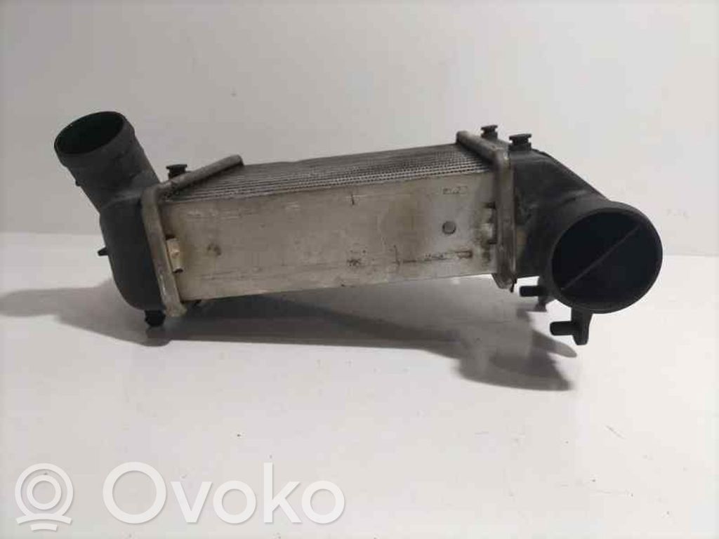 Audi A6 S6 C6 4F Interkūlerio radiatorius 