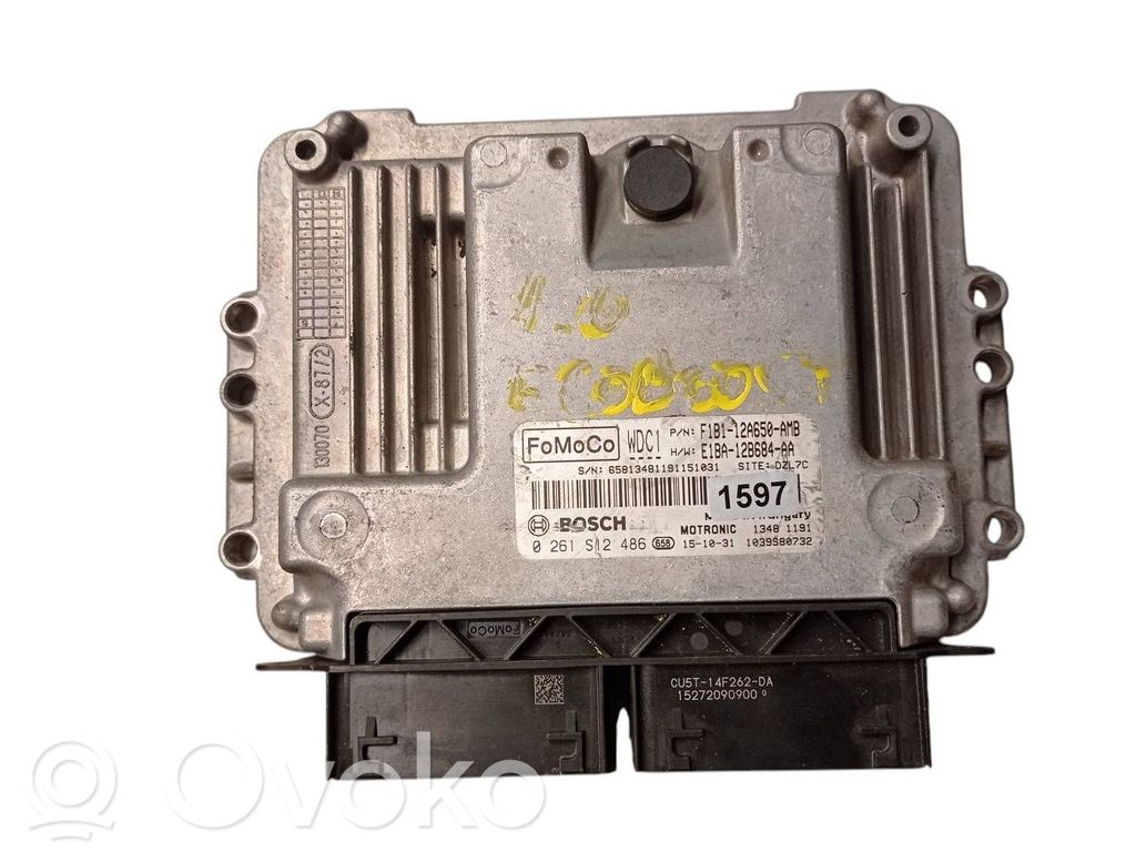 Engine control unit/module   F1B112A650AMB,E1BA12B684AA,0261S12486