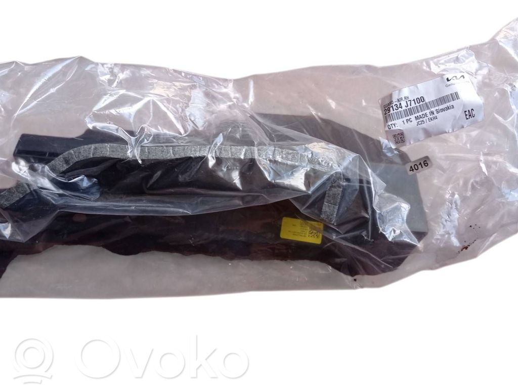 Radiator trim   29134J7100