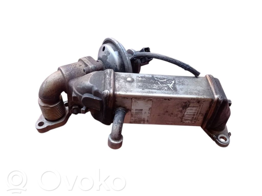 Válvula EGR   7801942