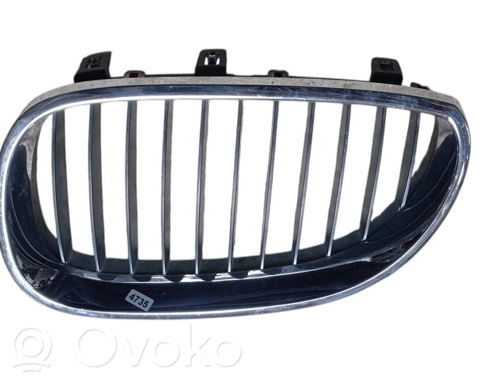 Front bumper lower grill   51137027061A1