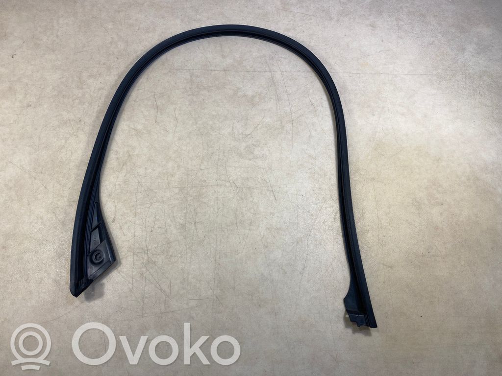 BMW X5 E70 Listwa / Uszczelka szyby drzwi przednich 