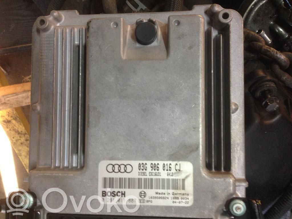 Audi A4 S4 B6 8E 8H Engine control unit/module 