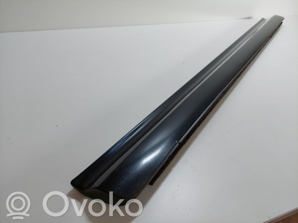 Front door trim (molding)