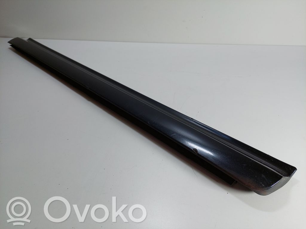 Front door trim (molding)