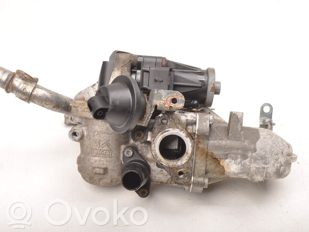 Citroen C4 Cactus EGR vožtuvas 