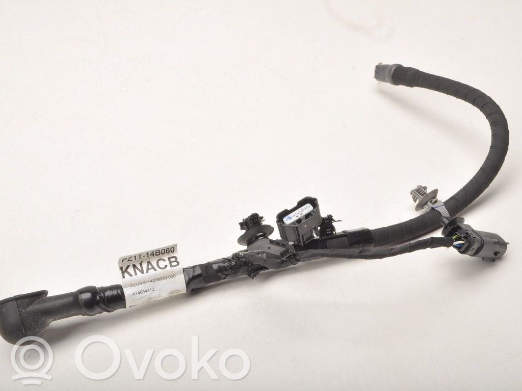 Ford Kuga III Otros cableados 