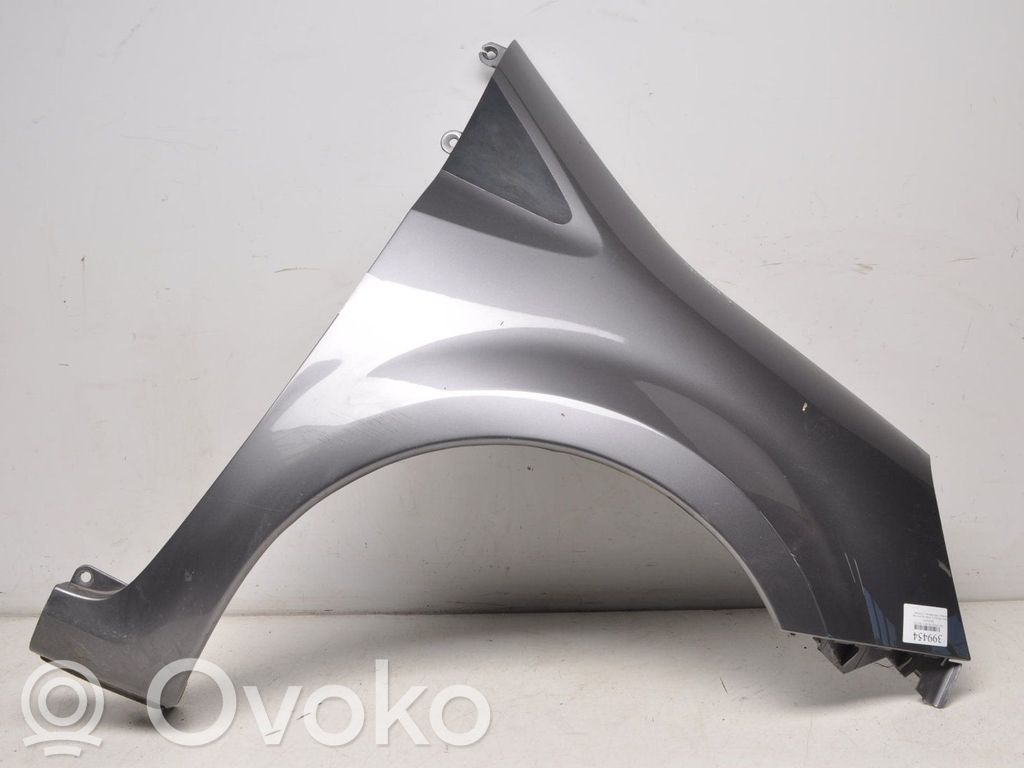 Front mudguard