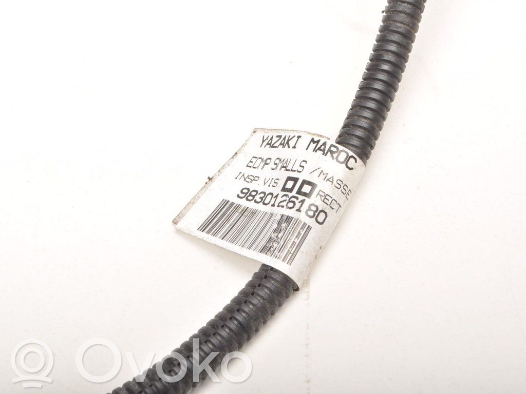 Pluskaapeli (akku)   9830126180