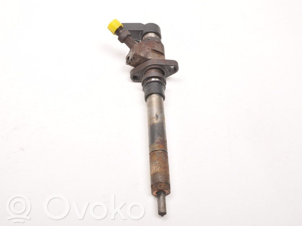 Peugeot 407 Fuel injector 