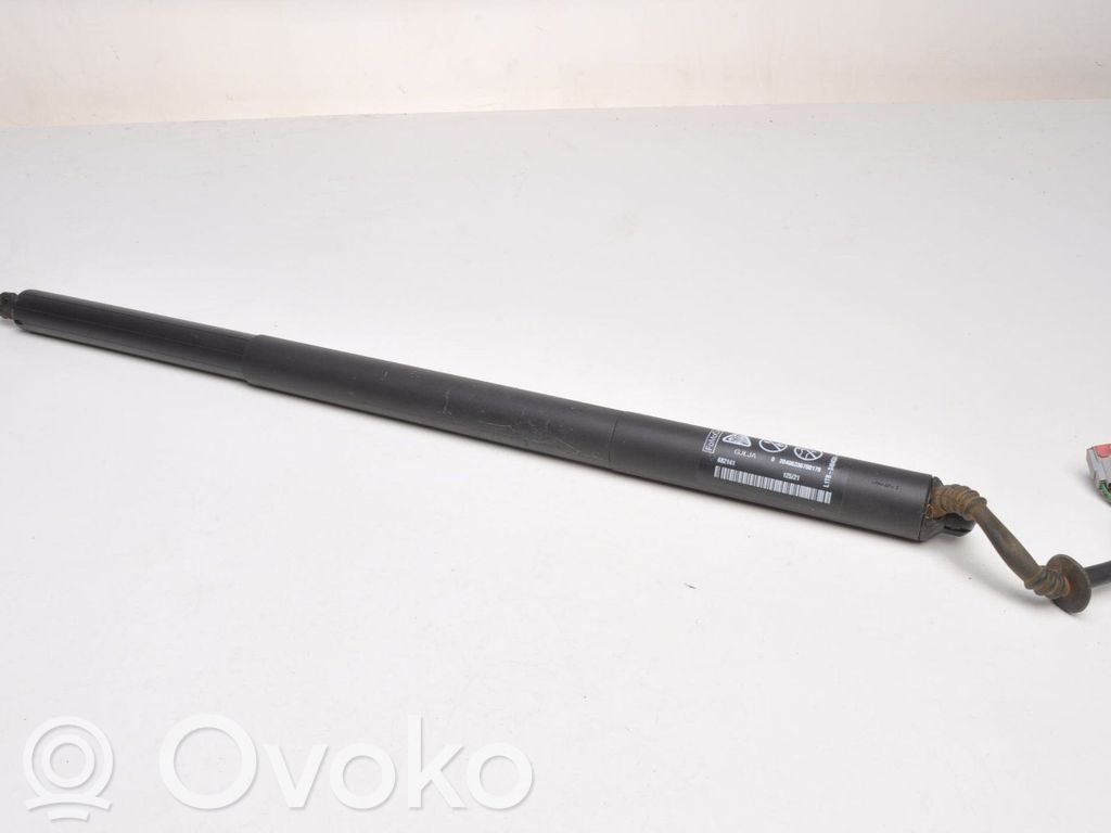 Tailgate strut   L1TBS404C84AA