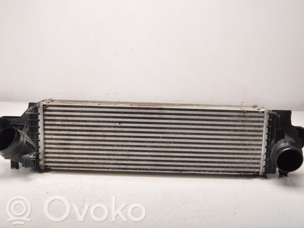 BMW 1 F40 Interkūlerio radiatorius 