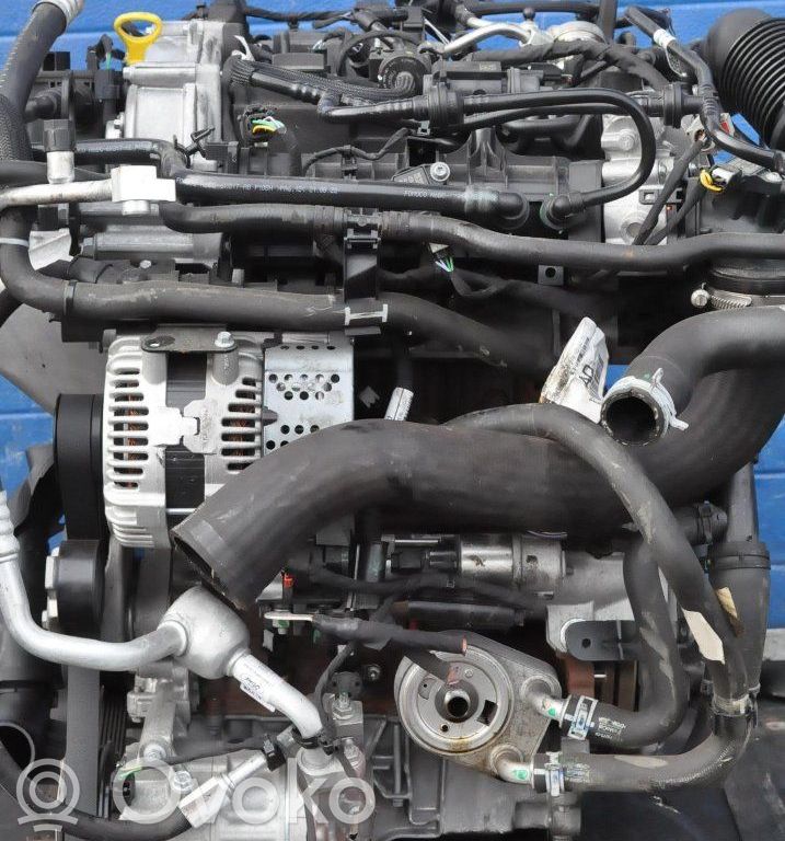 Ford Puma Motore completo 