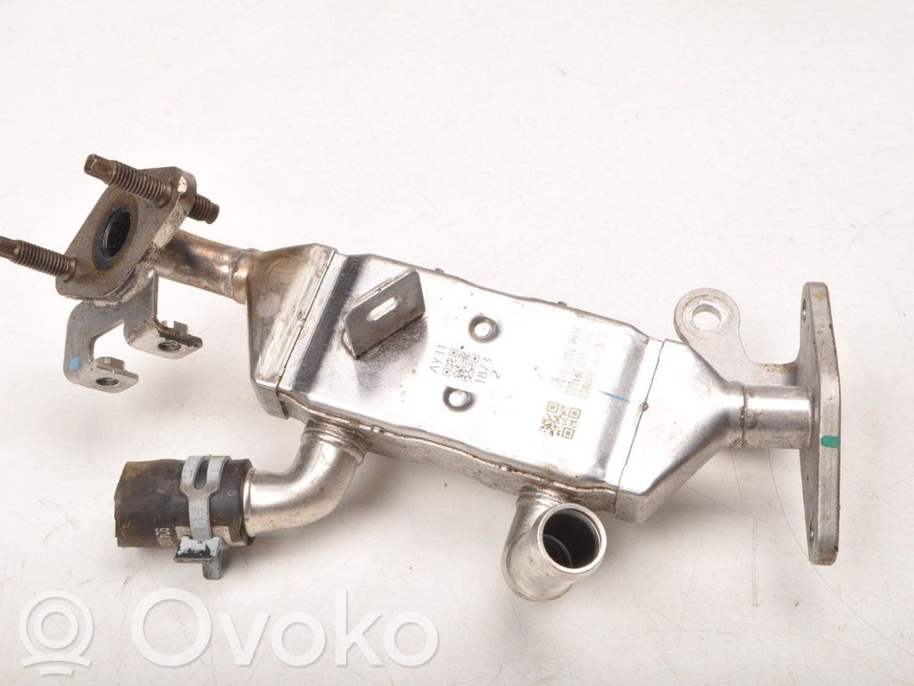Renault Clio V Refrigerador de la válvula EGR 